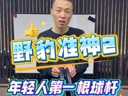 二手野豹准神2怎么样?#野豹#野豹准神#小头杆#台球是一种生活 #中式八球