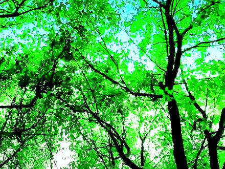 衡阳市蒸湘区联合小学校歌《放飞梦想》。#校园 #祖国的花朵未来的栋梁 #教育 #校歌#传递正能量