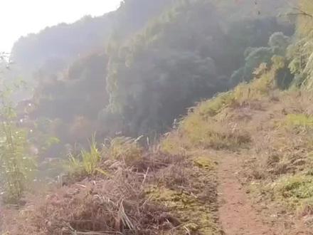 大家期待调试卫星天线视频来了,视频有点长