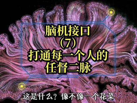 脑机接口(7)大脑怎么运行的?#黑科技 #催眠三十六 @抖音小助手