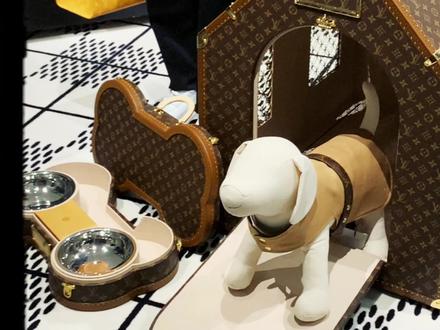 男人和狗东西 #LV #礼物 #购物