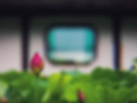 他是宿舍里唯一的Beta,其他三个人都是Alpha。
一天晚上几人在宿舍喝酒,喝到一半有人提出玩游戏,检测作为Alpha的定力。
他⃨作⃨为⃨不⃨受⃨x⃨x⃨s⃨影⃨响⃨的⃨b⃨e⃨t⃨a⃨就⃨拿⃨出⃨o⃨m⃨e⃨g⃨a⃨喷⃨雾⃨模⃨拟⃨剂⃨喷⃨在⃨房⃨间⃨里⃨。⃨
⃨
⃨没⃨想⃨到⃨自⃨己⃨不⃨小⃨心⃨没⃨控⃨制⃨住⃨量⃨,⃨把⃨自⃨己⃨的⃨刺⃨激⃨的⃨当⃨场⃨分⃨化⃨。⃨
⃨
⃨身⃨体⃨里⃨仿⃨佛⃨着⃨了⃨火⃨,⃨五⃨脏⃨六⃨腑⃨都⃨要⃨烧⃨着⃨了⃨,⃨勾⃨人⃨的⃨百⃨合⃨花⃨香⃨像⃨是⃨挤⃨压⃨许⃨久⃨似⃨的⃨,⃨一⃨下⃨子⃨喷⃨涌⃨而⃨出⃨。⃨
⃨
⃨“⃨快⃨…⃨…⃨快⃨送⃨我⃨去⃨医⃨务⃨室⃨…⃨…⃨”⃨他⃨迷⃨迷⃨糊⃨糊⃨的⃨向⃨室⃨友⃨们⃨求⃨救⃨。⃨
⃨
⃨结⃨果⃨却⃨发⃨现⃨几⃨个⃨室⃨友⃨全⃨都⃨面⃨色⃨阴⃨沉⃨的⃨朝⃨他⃨走⃨来⃨,⃨周⃨围⃨的⃨x⃨x⃨s⃨浓⃨烈⃨的⃨险⃨些⃨让⃨他⃨晕⃨过⃨去⃨。⃨
⃨
⃨他⃨忘⃨了⃨,⃨他⃨们⃨几⃨个⃨都⃨是⃨A⃨l⃨p⃨h⃨a⃨,⃨而⃨且⃨还⃨是⃨顶⃨级⃨A⃨l⃨p⃨h⃨a⃨……#小说推荐