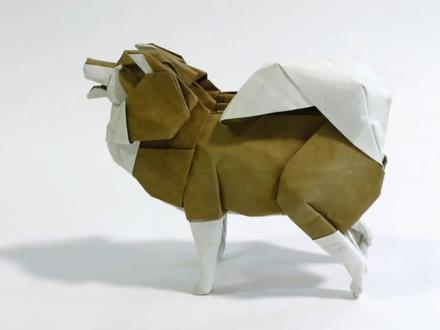 立体折纸之狗狗系列之芬兰拉普猎犬