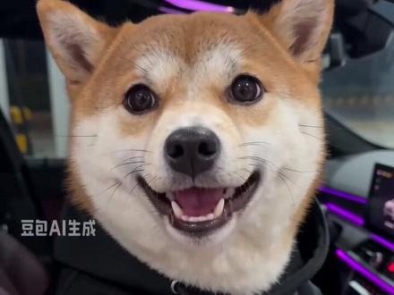 是真敢喊啊 95加满挺有钱呢 小样儿搞了个大乌龙 豆包你还是进化的太快了#神奇动物在抖音 #狗狗的心思都写在脸上了 #seedance2.0 #豆包ai#豆包出大片有两把刷子