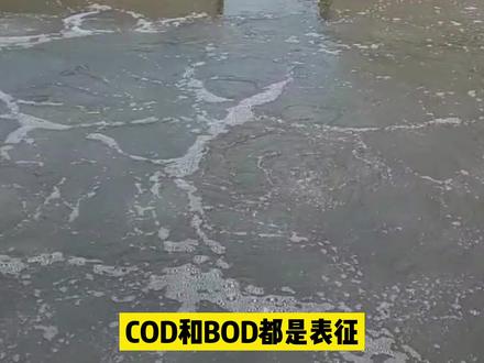 污水处理中COD和BOD的关系是怎样的#污水处理 #废水处理 #宏森环保