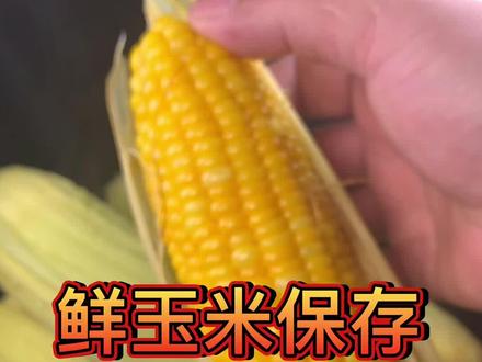按照这个方法保存玉米,一年都能吃上新鲜的#抖音美食创作人 #河南老朱下厨房 #玉米