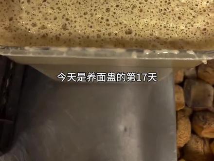 养面蛊的第十七天 #面蛊