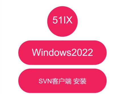 Windows SVN客户端 安装#软件开发 #程序员 #代码 #程序猿日常 #软件