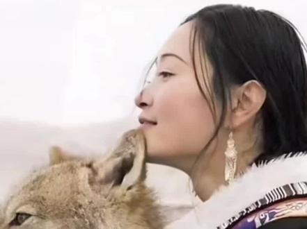 2026年1月份我竟被(重返狼群纪录片。)这格林狼与人妈妈的真实纪录片深深的感动着,哭红了双眼,一次又一次。当人类母亲身陷绝境,狼子格林的选择,超越了物种与本能。它在被马群拒绝后,凭借一份清晰的记忆,寻找到那匹曾与人类为伴的白马。一个基于共同记忆的恳求,一个超越物种隔阂的回应。狼与马,在刺骨寒风中缔结信任的同盟,完成了这场生命的托举。这不仅是救援,更是对“善意必有回响”最庄重的诠释。耳边风声呼啸,仿佛听见了那曲古老的《苏和的白马》……#重返狼群 #生命的故事 #信任的力量 #万物有灵 #传统文化