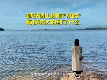 都说驻马店泌阳县的铜山湖有“水怪”,看我这次拍到了什么? #探寻密境之地 #旅行推荐官 #寻美中国 #寻美河南 #寻美驻马店