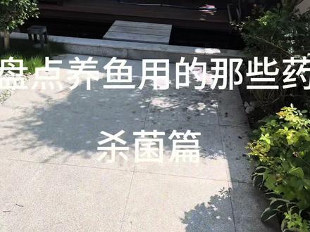 盘点养鱼需要用药杀菌篇#养鱼经验分享 #锦鲤鱼池 #锦鲤的饲养方法