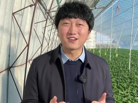 草莓是什么时候成熟的 e1963accefd7ebd93dbe5da0107ff167~tplv-dy-resize-origshort-autoq-75:330.jpeg?x-expires=1997672400&x-signature=gG7sbfAE9XChR4uYZ%2F9Co3VgnCo%3D&from=3213915784&s=PackSourceEnum_AWEME_DETAIL&se=false&sc=cover&biz_tag=pcweb_cover&l=20230424131222C256ACF1587AEC0E21E6