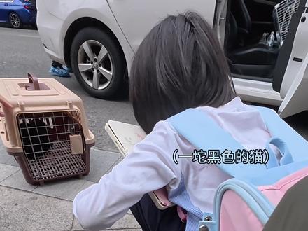 送外卖! 每天最开心的时候就是送外卖的那几个小时~