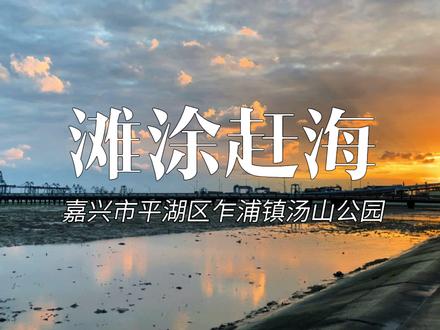 在退潮后的滩涂地赶海抓螃蟹和滩涂鱼,看夕阳美景#小众景点 #旅行vlog #滩涂赶海