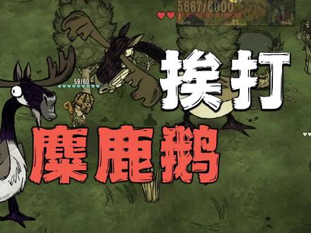 春季麋鹿鹅打三躲一 小鹅更难打 #游戏日常 #游戏视频 #饥荒