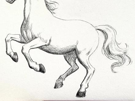 一分钟学会!超简单的画马方法✿ ◡‿◡✿
#绘画教程 #一起学画画 #画马 #画马教程 #马的画法