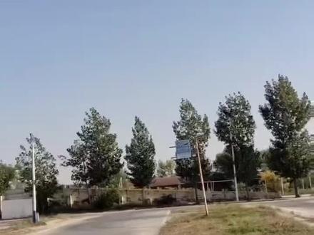 侧方停车一分钟学会