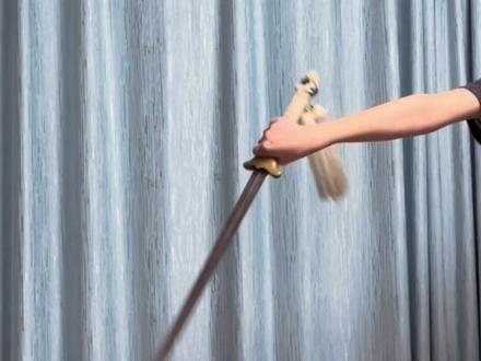 “剑谱偷出来了!这还学不废!让李相夷出来!”#专业动作请勿模仿 #剑花教学 #剑 #武侠 #莲花楼