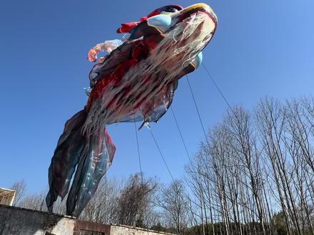 中华飞天鳌鱼,全国巡演中。大家知道济南的鳌鱼去哪里了吗#唐模 #鳌鱼 #景区 #春节