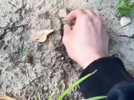 #酱油白米饭 #搞笑#搞笑视频 #一定要看到最后@DOU+小助手