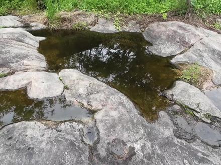 在河边又发现小水坑,把水舀干居然有好多鱼,抓得太爽了#户外抓鱼 #逮鱼摸虾 #赶河主播 #好多鱼 #泥鳅