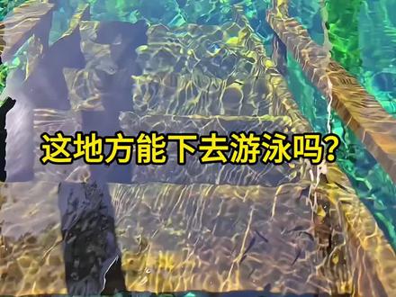 分享7种水域、6种干净清澈!一看就想跳下去#神秘的大自然 #户外 #游泳