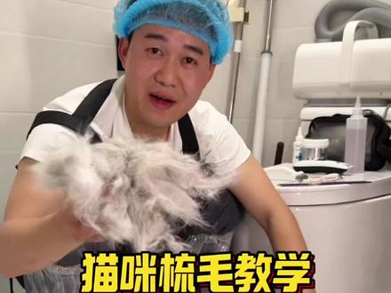 猫咪梳毛教学来噜!我看还有谁不会梳毛!#梳毛 #猫咪梳毛 #养猫经验分享 #养宠进阶指南 #猫咪