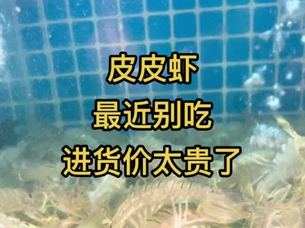 最近别吃皮皮虾,进货价180~190一斤,不赚你一毛钱卖给你,你都会觉得贵的。如果你要吃,就不要抱怨太贵,我们都是明码标价。皮皮虾都是野生的,每天价格都不一样。多理解。或者选择不吃。#三亚海鲜 #三亚旅游 @三亚不仔客海鲜
