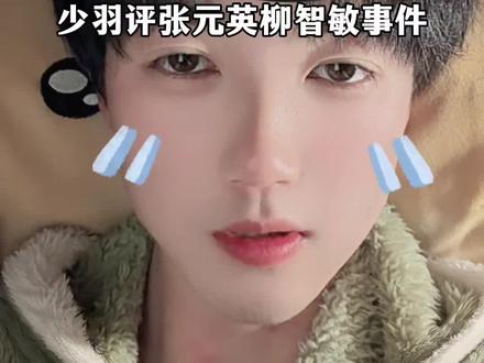 少羽评张元英柳智敏事件