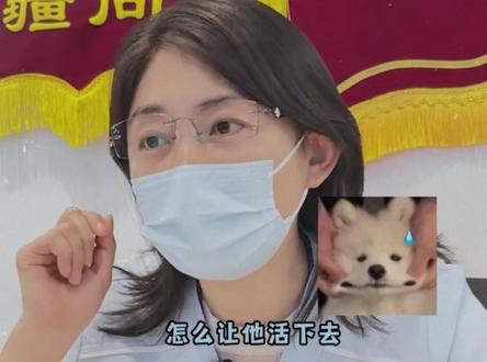 完了,全网都只会这一句:但孩子已经高三了