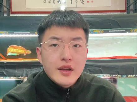 雷龙应激后怎么办?如何分辨应激后的表现?#真实生活分享计划 #雷龙鱼 #养鱼日记 #青年创作者成长计划