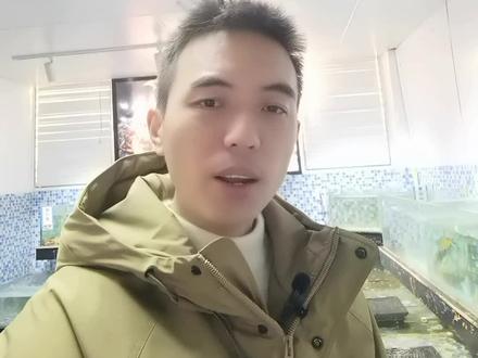 三文鱼速冻对口感有影响吗?#精品海鲜 #水产人 #三文鱼刺身