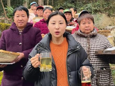 喝茶党必囤的恩施藤茶!也叫霉茶,含硒产地直供,微苦回甘越喝越上头,含硒超健康,老人小孩都能喝 #藤茶 #霉茶