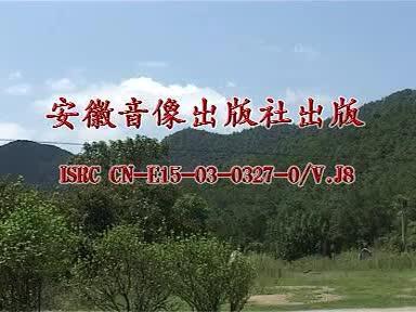 皖南花鼓戏《九棵松》