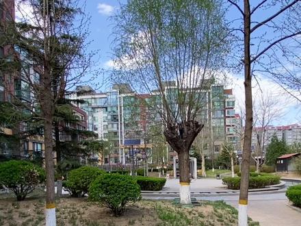 北京东四环朝青区域低密洋房、别墅小区 金隅凤麟洲建成于2008年,位于朝阳站南侧,紧邻姚家园路。小区以板楼为主,分为东区和西区,东区主要以中小户型低密洋房为主,西区以叠拼别墅为主,户型种类多,覆盖面积大。小区环境优美、绿化覆盖率高,西区有独立公园。
小区周边有东风公园、朝阳公园、京城森林公园,还有朝阳体育中心,周边有朝阳大悦城、达美中心广场等大型商业体。门口比较清静,有一些生活类底商。临近3号线朝阳站地铁站,自驾出门向南是姚家园路,上四环、五环都很方便。
东四环朝阳公园附近,用同样高端小区的价格可以买到叠拼别墅,体验花园式的居住体验,非常适合对于环境品质要求较高的人群
#好房推荐 #买房 #刚需买房 #带你看房 #二手房