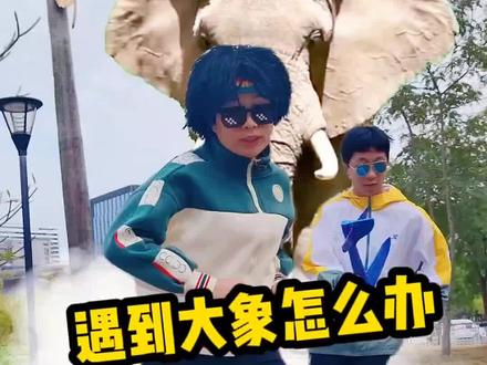 如果在野外遇到大象怎么办!#亲子日常 #大象 #亲子教育