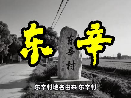 东辛村的地名经历了从“东新团”到“东新疃”“东辛疃”,最终定名为“东辛村”的演变过程,反映了当地从盐业生产区域向行政村落的转变#千年古镇板浦