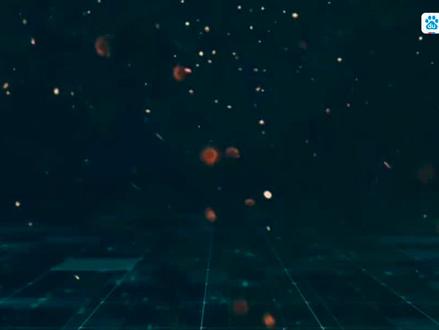 12地支与北斗七星的关系,28星宿又是怎么回事?