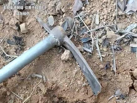 吐槽营销号——《野外发现石油》《沙漠西瓜》《黄铁矿为何如此规整》#科普#涨知识#吐槽营销号#猎奇
