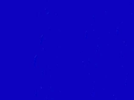 印度的情歌都特别直接 热烈且温柔#音乐分享#sajna