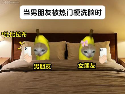 当男朋友被网络热梗洗脑时#猫meme#猫meme小剧场