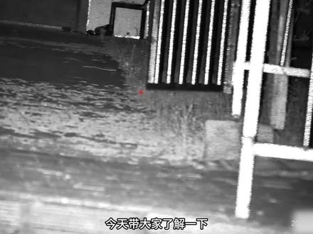 达姆章动#视频拍摄于国外合法场地 大人请在小朋友的陪同下观看