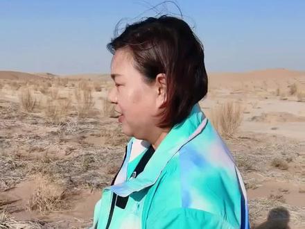 2020秋天我们开始在这个沙丘上制作草方格沙障,2021年春天种的梭梭树,今年梭梭现在是这片沙漠生态林的第三年,已经过了人工管护期,我们不再给梭梭林浇水。现在你们再看,梭梭林已经开始了防风固沙作用,不浇水的林子到底能不能活呢?关注小青给你们看后续#百万森林守护挑战 #字节公益作者训练营 #沙漠锁边生态林 #青梭公益 #抖音公益直播季