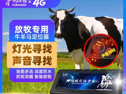 牛羊定位山区智慧放牧,gps定位器科学化养牛羊,再也不用担心走失的问题#牛羊定位 #养牛人的生活 #养牛的日常 #畜牧养殖 #科学养牛