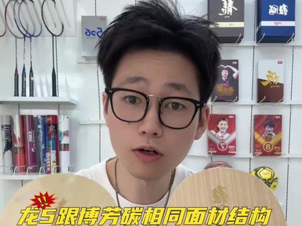 #乒乓球拍 #体育用品 #乒乓球拍搭配 #快乐乒乓球🏓 #红双喜乒乓球拍 博芳碳X底板与龙5X底板的区别,怎样选择更合适自己的球拍。一起来看看吧~