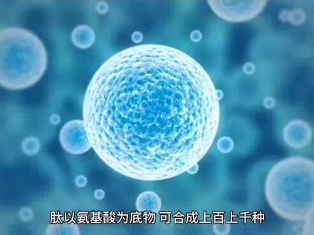 弘蕊氨基酸———中国螯合氨基酸第一品牌。