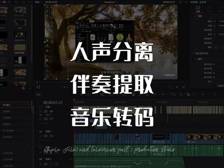 耐心看完后,从此不求人🎵#后期制作 #干货分享 #人声分离 #伴奏提取 #音乐格式转换