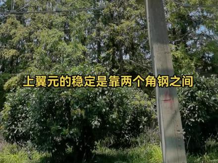 #桁架 上弦是角钢,下弦圆钢。平面结构最省钢的说法,大概就是这种了。#建筑结构 #管廊