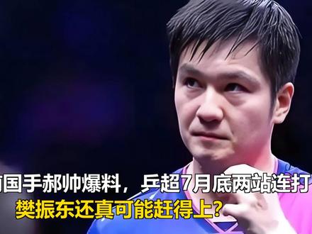 前国手郝帅爆料:乒超7月底两站连打,樊振东还真可能赶得上? 前国手郝帅爆料:乒超7月底两站连打,樊振东还真可能赶得上?