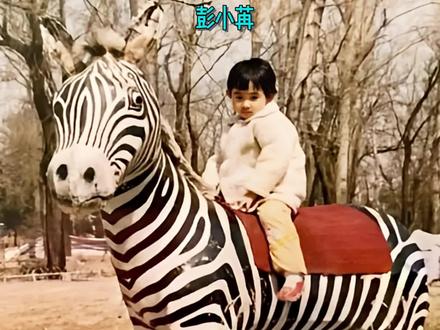 彭小苒3-31岁颜值变化,长大前后差距很大,网友:小枫是她的巅峰 #彭小苒 #颜值变化 #演员 #娱乐圈